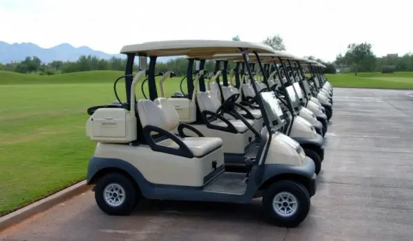 A row of golf carts is parked neatly on a paved path with a grassy field and mountains in the background.