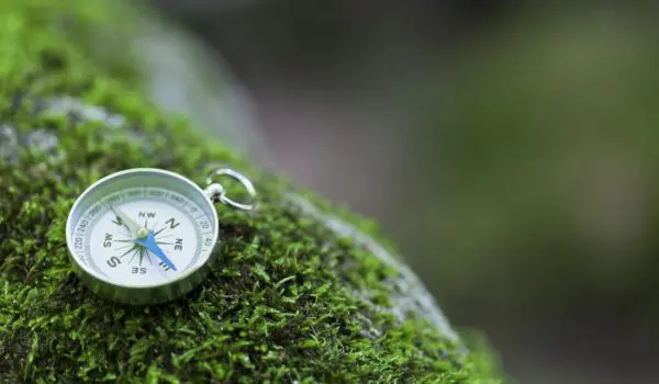 A compass rests on a moss-covered surface, suggesting navigation or adventure in a natural setting.