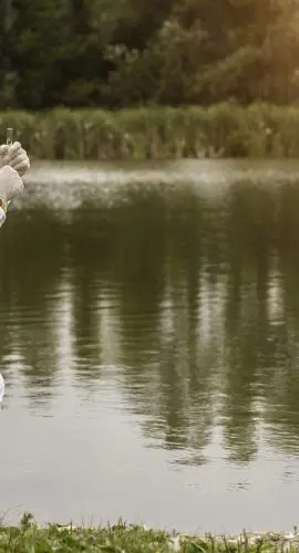 A person in a protective suit is kneeling by a body of water, possibly collecting a sample or examining the environment.