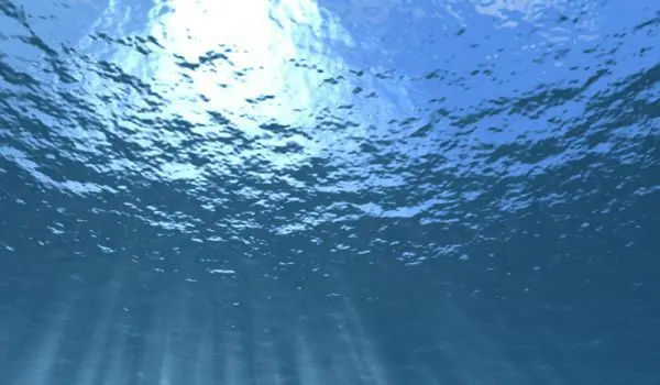 Sunlight filters through clear blue water, creating patterns of light beneath the surface.