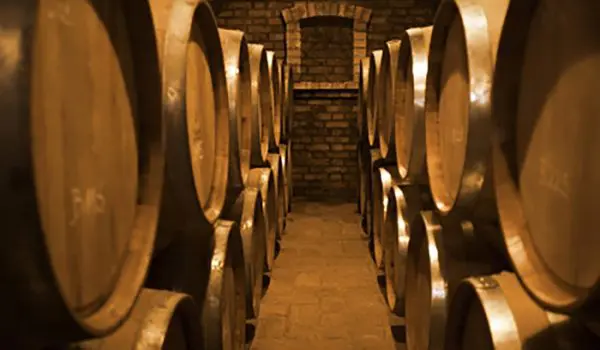 A dimly lit wine cellar lined with wooden barrels along its brick walls.