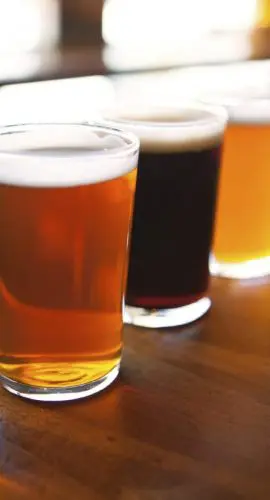Franchise Dramshop Craft Beer Tasting Bar