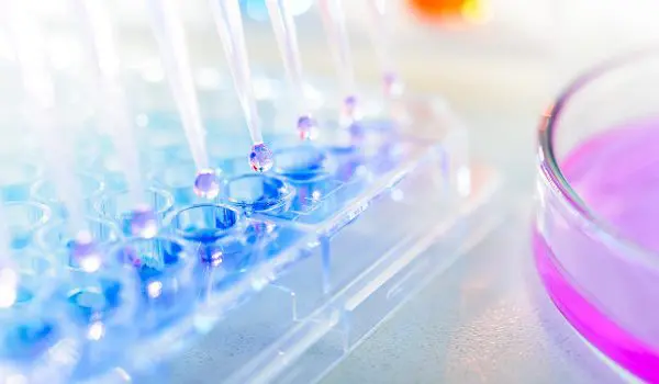 A close-up view of a scientific experiment featuring a 96-well plate with blue liquid and a Petri dish with pink substance in a laboratory environment.