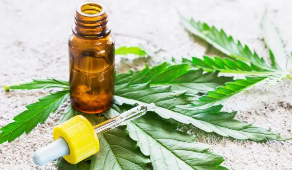 Cannabis Marijuana Oil Extracts In Jars And Leaves For Treatment.