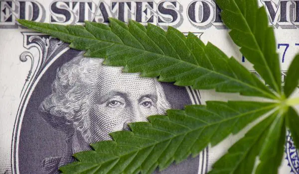 Hemp money