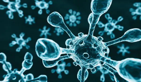 The illustration shows microscopic views of virus-like particles with numerous protrusions.