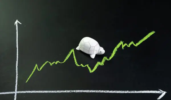 Slow but stable investment or low fluctuate stock market concept, miniature figure tortoise walking on chalkboard with drawing green price line graph of stock market value.