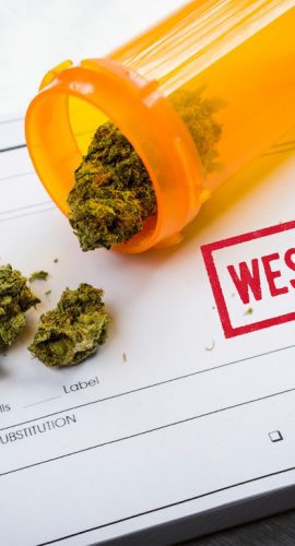 Medical Marijuana Laws: "West Virginia"