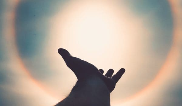 Left human hand photo