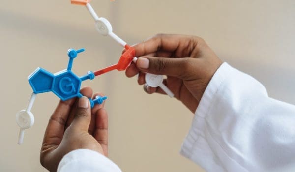Crop chemist holding in hands molecule model