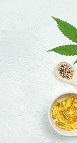 collection of hemp and CBD products on a white background
