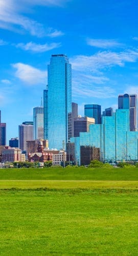 A city skyline featuring modern skyscrapers and a distinctive observation tower is set against a bright blue sky with a foreground of grassy parkland.